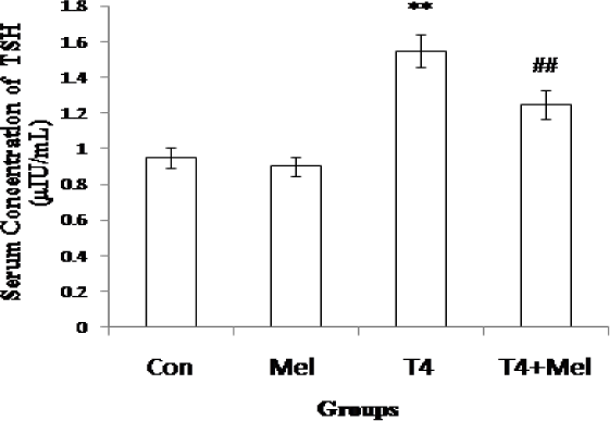 TSH hormone level of blood serum of different experimental groups of mice. Mean ± SEM was represented by Histogram. The experimental changes were significantly considered when p<0.05. **p<0.01: Control group vs. Melatonin group, Control group vs. T4-treated (hyperthyroid) group; ##p<0.01: T4-treated (hyperthyroid) group vs. T4-treated (hyperthyroid) + Melatonin treated group.