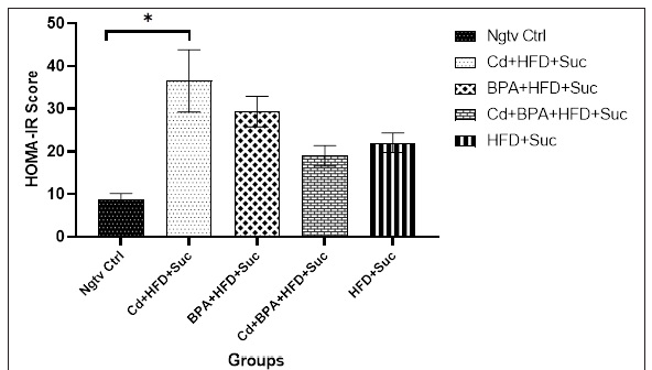 HOMA IR score across all rat groups exposed to distilled water (Ngtv Ctrl), Cd+HFD+Suc, BPA+HFD+Suc, Cd+BPA+HFD+Suc, HFD+Suc after 56 days of exposure. * significant (p<0.05) difference when compared to Ngtv Ctrl. Ngtv Ctrl: Negative control, Cd:Cadmium, HFD: High-fat diet, BPA: Bisphenol-A, Suc: Sucrose, HOMA-IR: Homeostasis model assessment of insulin resistance.